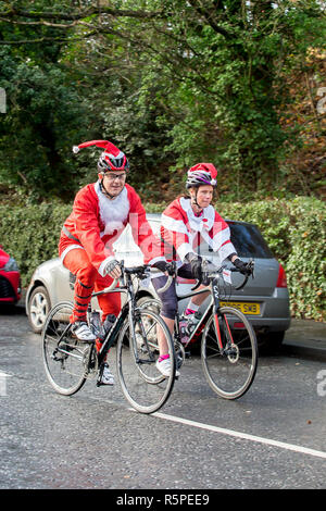 Kidderminster, Großbritannien. 2. Dezember, 2018. Aufgrund der großen Nachfrage, Kemp Hospiz Santa Fun Run wird in diesem Jahr erweitert Die neue Santa Fahrradtour zu gehören. Von einem gemeinsamen Ausgangspunkt der Brinton Park, Radfahrer sammeln und bereit für den aus. Ihre 20 km Route durch die Wyre Forest in Kidderminster, Gotha und Bad Salzungen und wie sie alle peddle für eine Medaille, jeder Radfahrer in einem höchsten Anstrengungen Fundraising für das hospiz Appell zu helfen. Quelle: Lee Hudson/Alamy leben Nachrichten Stockfoto