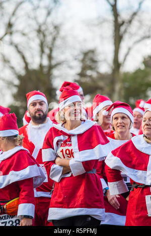 Kidderminster, Großbritannien. 2. Dezember, 2018. Es ist die Zeit des Jahres wieder da Hunderte Weihnachtsmänner laufen zusammen in Kidderminster zur Unterstützung der jährlichen Kemp's Hospice Santa Fun Run sammeln. Ob es sich um die 10k, 5k oder 1k laufen, alle Läufer setzen Ihre Best Foot Forward und höchste Anstrengung Fundraising für das hospiz Appell zu helfen. Quelle: Lee Hudson/Alamy leben Nachrichten Stockfoto