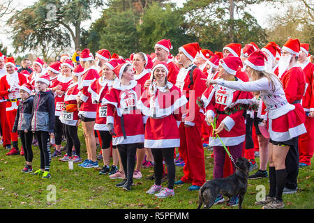 Kidderminster, Großbritannien. 2. Dezember, 2018. Es ist die Zeit des Jahres wieder da Hunderte Weihnachtsmänner laufen zusammen in Kidderminster zur Unterstützung der jährlichen Kemp's Hospice Santa Fun Run sammeln. Ob es sich um die 10k, 5k oder 1k laufen, alle Läufer setzen Ihre Best Foot Forward und höchste Anstrengung Fundraising für das hospiz Appell zu helfen. Quelle: Lee Hudson/Alamy leben Nachrichten Stockfoto