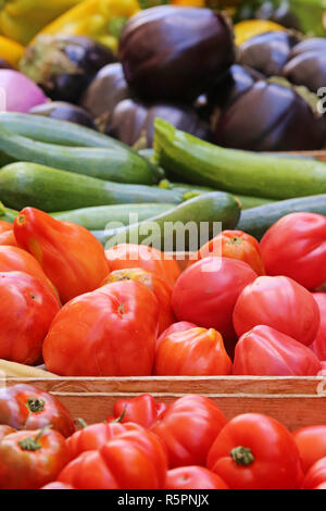 Tomaten Gurken Auberginen Paprika Stockfoto