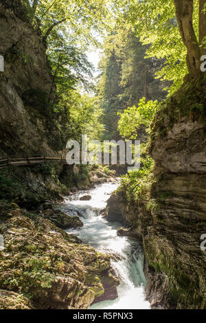 Die fabelhafte Vintgar-Schlucht in Slowenien in der Nähe von Bled See Stockfoto