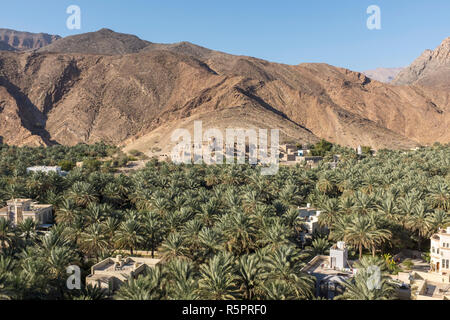 Der aus dem 17. Jahrhundert Dorf Birkat Al Mawz nach Datum palm Plantagen umgeben, mit modernen Häusern im Vordergrund, im Sultanat Oman Stockfoto