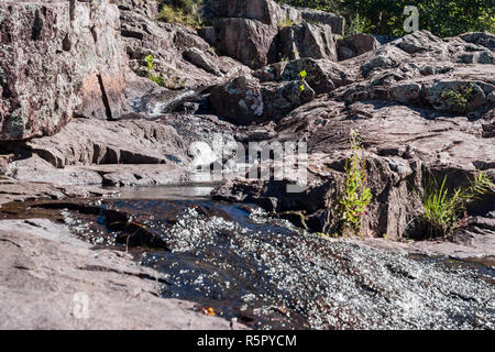 Ozarks Region, National Scenic Riverways, Missouri Stockfoto