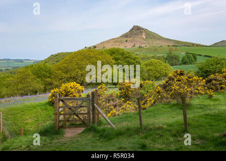 Roseberry Topping an einem sonnigen Frühlingstag in der North York Moors National Park, England. Stockfoto