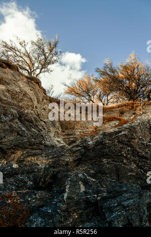 Klippen, Harlyn Bay, Cornwall, Großbritannien Stockfoto