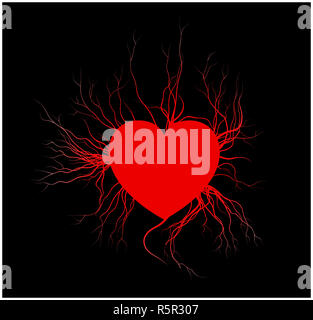 Menschliche Adern mit Herz, rot Liebe Blutgefäße valentine Design. Vector Illustration auf weißem Hintergrund Stockfoto