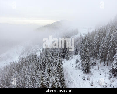 Winterlandschaft. Bäume mit Schnee in den Bergen bedeckt. Stockfoto