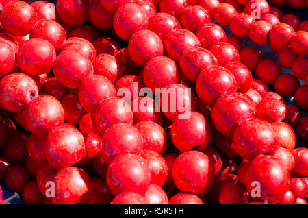 Perlen Schmuck. Heller Hintergrund mit Perlen. Stockfoto