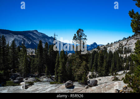 Blick auf den Half Dome in der Ferne Stockfoto