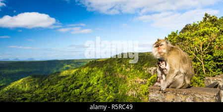 Affen in die Schluchten Aussichtspunkt. Mauritius. Panorama Stockfoto