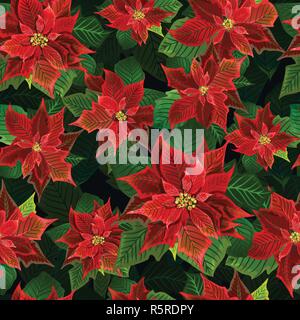 Weihnachten Winter Weihnachtsstern Blumen nahtlose Hintergrund, florales Muster, Drucken im Vektor Stock Vektor