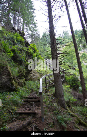 Befestigte Gehweg aus Holz, in der wilden Natur ohne Personen in der Steiermark in den Tag Stockfoto