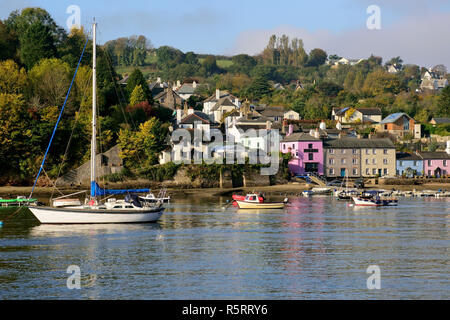 Dittisham Dorf, am Westufer des Flusses Dart in Devon. Stockfoto