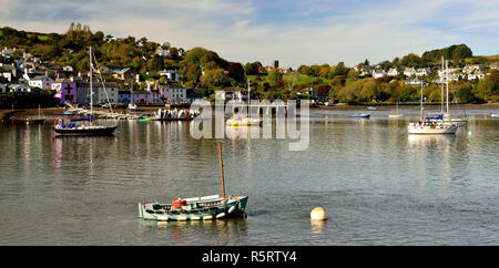 Dittisham Dorf, am Westufer des Flusses Dart in Devon. Stockfoto