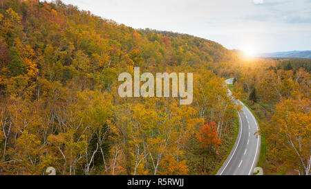 Luftaufnahme von Herbst Wald auf dem Berg in der Nähe von Blue Teich (Aoiike) Biei, Hokkaido, Japan, Herbst, Stockfoto