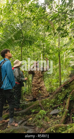 Park Ranger sprechen für Touristen, Kibale National Forest, Uganda Stockfoto