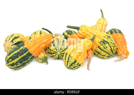 Sortiment von Orange, Grün und Gelb dekorative Kürbisse Stockfoto