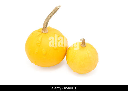 Große und kleine Runde orange dekorative Kürbisse mit warty Klumpen Stockfoto