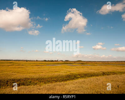 Offenen Marschland Landschaft Szene mit blauem Himmel, Wolken, und Gras Stockfoto