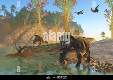 Zuniceratops River Stockfoto