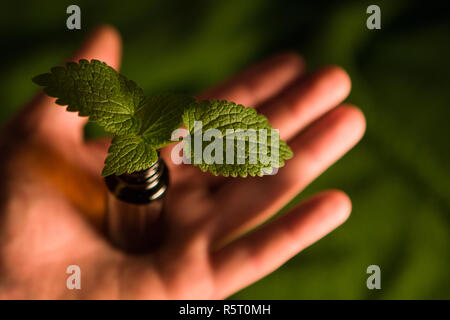 Natürliche Heilmittel - Raum Text. Altenativ Medizin-, Hand- und Flasche. Stockfoto