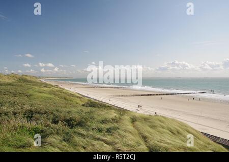 Deich, Dünen, Strand und Nordsee mit buhnen in Zoutelande, walcheren, Zeeland, Niederlande Stockfoto