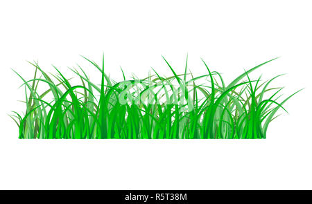 Grünes Gras isoliert Vektor symbol Icon Design. Stockfoto