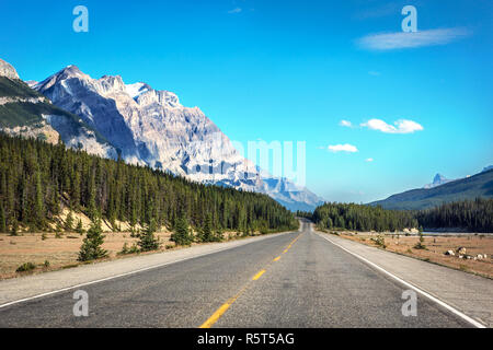 Schöne leere Straße mit Pinien um und Rocky Mountains im Hintergrund in einem blauen Himmel Tag Stockfoto