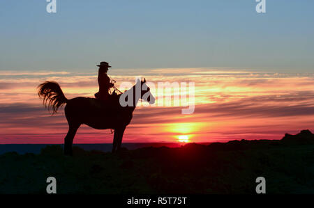 Silhouette von Cowgirl, Fahrt mit Arabischen Hengst in bunten Sonnenuntergang. Romantische Konzept für Safari Afrika Hintergrund. Reiten und Wandern auf Rot aufgehenden Sonne. Stockfoto