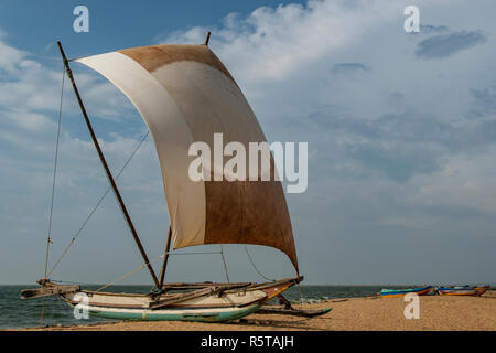 Outrigger Segelboot auf Negombo Beach, in der Nähe von Colombo, Sri Lanka Stockfoto