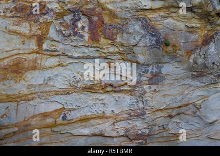 Eisenoxid oder mineral Färbung auf einer Klippe mudstone oder Schiefer, der südlichen Küste Irlands, sandige Bucht, castlehaven, West Cork, Irland. Stockfoto