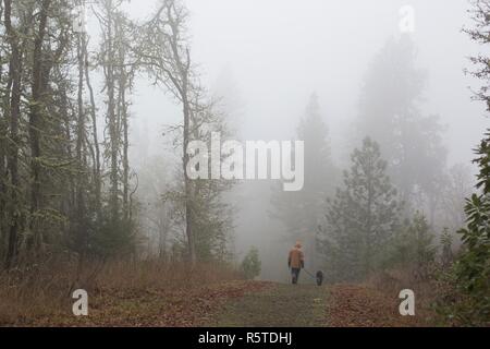 Ein Mann und Hund wandern im Nebel in der Nähe von Eugene, OR, USA. Stockfoto