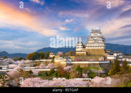 Himeji, Japan in Himeji Castle während Kirschblüte Frühjahrssaison. Stockfoto