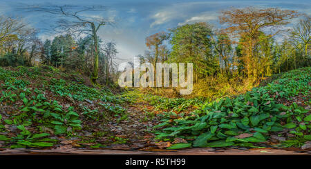 360 Grad Panorama Ansicht von Ballyfad Wald.co.Wexford. Irland. 360 Panorama.