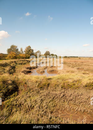Offenen Marschland Landschaft Szene mit blauem Himmel, Wolken, und Gras Stockfoto