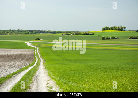 Lange Straße durch grün-gelbe Felder, Bäume und Gehölze, Horizont und weiße Wolken am blauen Himmel Stockfoto