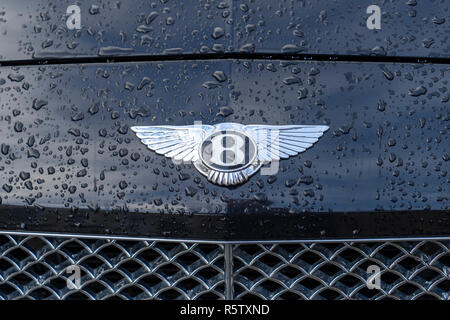 Bentley-Auto-Plakette Stockfoto