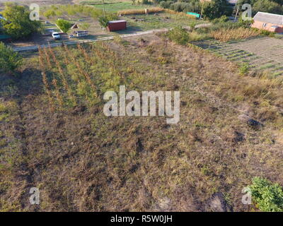 Gemüsegarten im September. Trockenes Gras im Garten und Obstbäumen auf dem Grundstück. Stockfoto