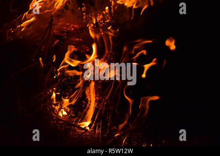 Verbrennung von Stroh von Reis in der Nacht. Red Fire auf einem schwarzen Hintergrund. Die Verbrennung. Stockfoto