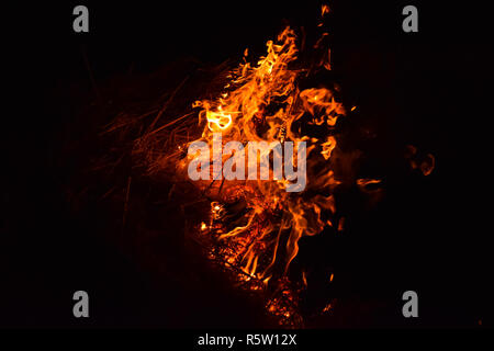 Verbrennung von Stroh von Reis in der Nacht. Red Fire auf einem schwarzen Hintergrund. Die Verbrennung. Stockfoto