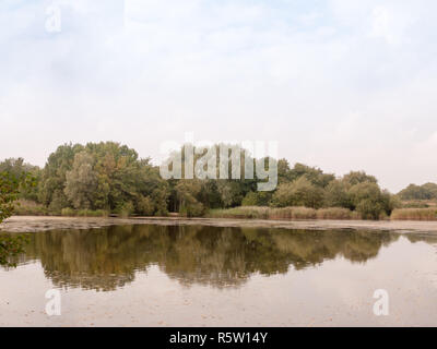 Bäume über einen See Horizont in Water Country Szene reflektiert Stockfoto