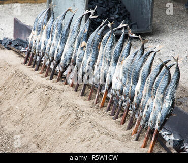 Grillen Fisch auf einem Stick Stockfoto