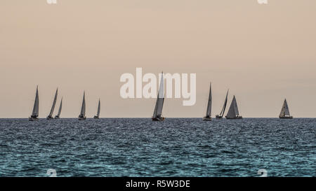 Segel über Horizont. Segelboote racing in der Regatta, in der Irischen See. Stockfoto
