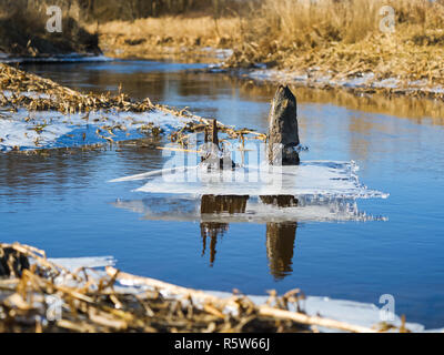 Eis des Flusses geschmolzen, der Teich ist vom Eis freigegeben Stockfoto