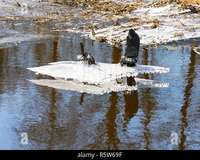 Eis des Flusses geschmolzen, der Teich ist vom Eis freigegeben Stockfoto