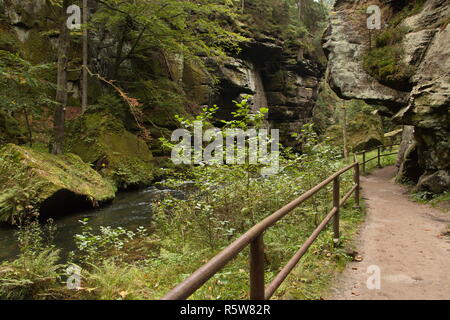 Schlucht des Flusses Kamenice in der Böhmischen Schweiz in der Tschechischen Republik Stockfoto