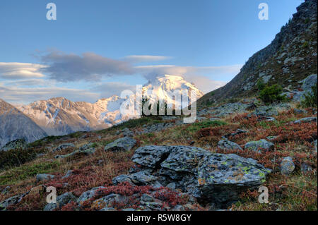 Gipfel der Ortler im Abendlicht Stockfoto