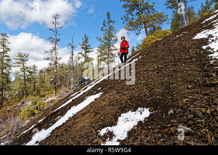 42,835.02002 Frau wandern im Winter stehen auf steilen Hang Schnee schwarz & rot Schlackenkegel mit Ponderosa Kiefern (Pinus ponderosa) Wald Stockfoto