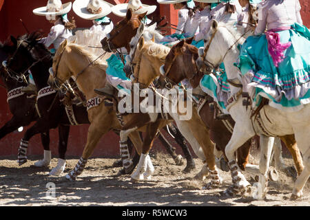 Gruppe von mexikanischen escaramuza Mädchen mit mexikanischen Kleider und Sombrero reiten Pferde in einer Linie Bildung Stockfoto