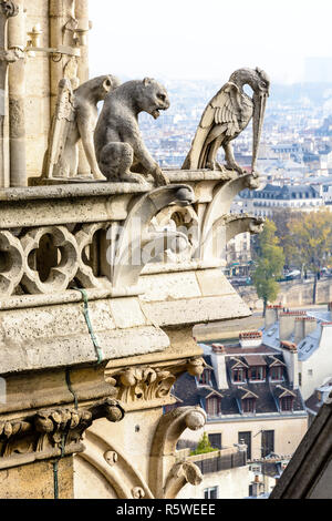 Drei Statuen von Chimären mit Blick auf die Dächer des historischen Zentrums von Paris von den Türmen der Kathedrale Notre-Dame mit der Stadt Stockfoto